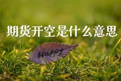 期货开空是什么意思_https://wap.fansifence.com_债券投资_第1张