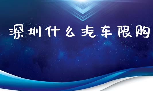 深圳什么汽车限购_https://wap.fansifence.com_外汇交易_第1张