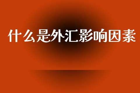 什么是外汇影响因素_https://wap.fansifence.com_今日财经_第1张