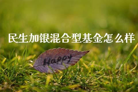 民生加银混合型基金怎么样_https://wap.fansifence.com_外汇交易_第1张