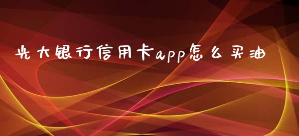 光大银行信用卡app怎么买油_https://wap.fansifence.com_外汇交易_第1张