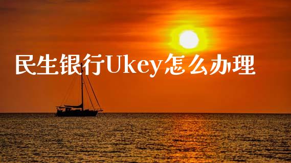 民生银行Ukey怎么办理_https://wap.fansifence.com_债券投资_第1张