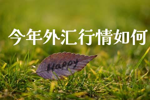 今年外汇行情如何_https://wap.fansifence.com_债券投资_第1张