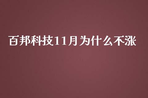 百邦科技11月为什么不涨_https://wap.fansifence.com_今日财经_第1张