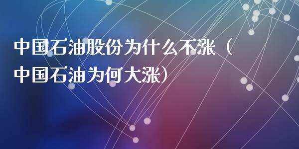 中国石油股份为什么不涨（中国石油为何大涨）_https://wap.fansifence.com_今日财经_第1张