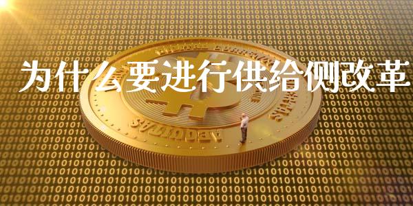 为什么要进行供给侧改革_https://wap.fansifence.com_投资理财_第1张