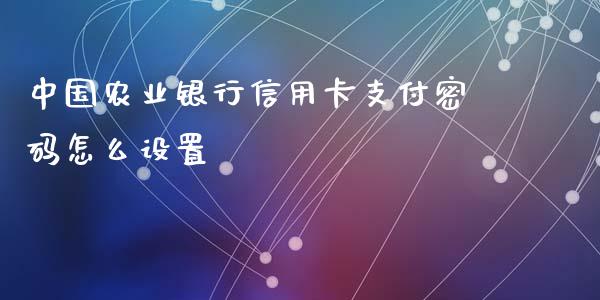 中国农业银行信用卡支付密码怎么设置_https://wap.fansifence.com_今日财经_第1张