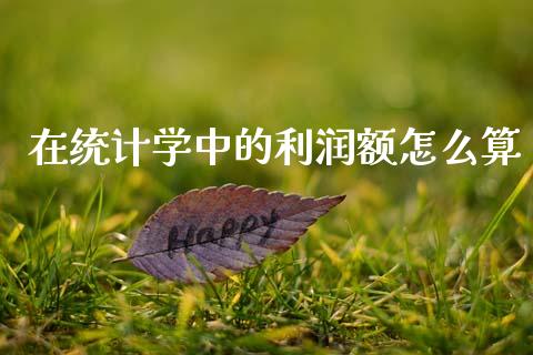 在统计学中的利润额怎么算_https://wap.fansifence.com_今日财经_第1张