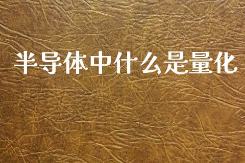 半导体中什么是量化_https://wap.fansifence.com_外汇交易_第1张