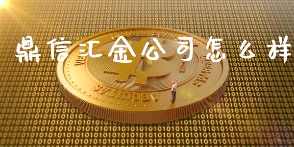 鼎信汇金公司怎么样_https://wap.fansifence.com_债券投资_第1张