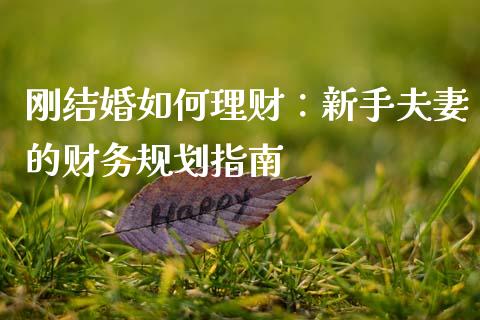 刚结婚如何理财：新手夫妻的财务规划指南_https://wap.fansifence.com_外汇交易_第1张