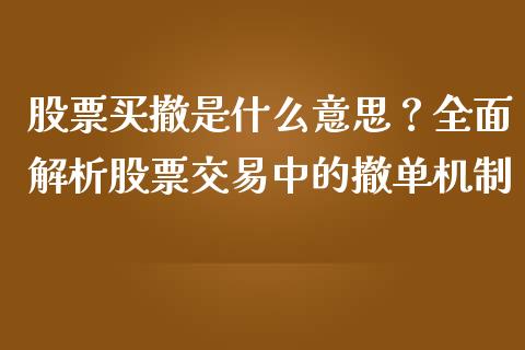 股票买撤是什么意思？全面解析股票交易中的撤单机制_https://wap.fansifence.com_投资理财_第1张