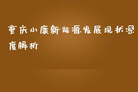 重庆小康新能源发展现状深度解析_https://wap.fansifence.com_今日财经_第1张
