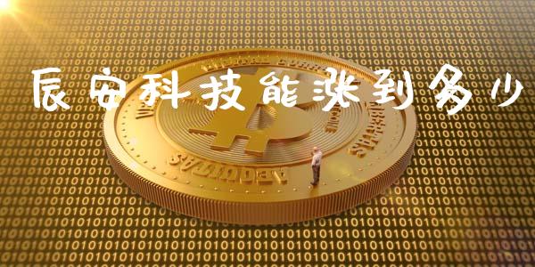 辰安科技能涨到多少_https://wap.fansifence.com_债券投资_第1张