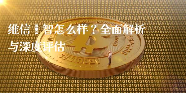 维信荟智怎么样？全面解析与深度评估_https://wap.fansifence.com_债券投资_第1张