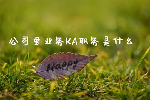 公司里业务KA职务是什么_https://wap.fansifence.com_今日财经_第1张