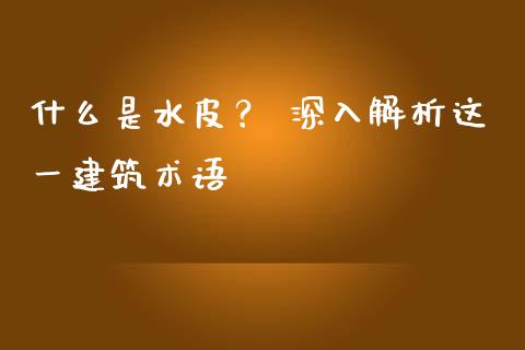 什么是水皮？ 深入解析这一建筑术语_https://wap.fansifence.com_外汇交易_第1张
