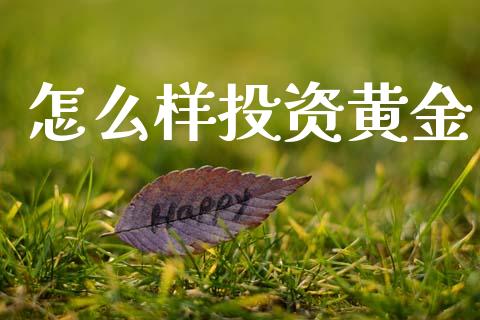 怎么样投资黄金_https://wap.fansifence.com_投资理财_第1张