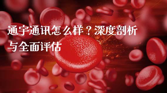 通宇通讯怎么样？深度剖析与全面评估_https://wap.fansifence.com_债券投资_第1张