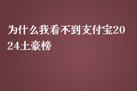 为什么我看不到支付宝2024土豪榜_https://wap.fansifence.com_今日财经_第1张