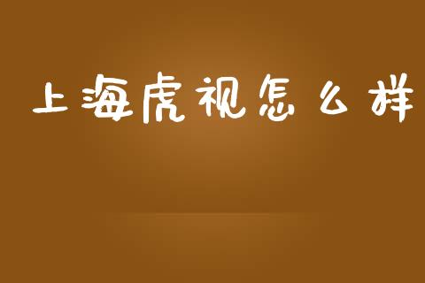 上海虎视怎么样_https://wap.fansifence.com_债券投资_第1张