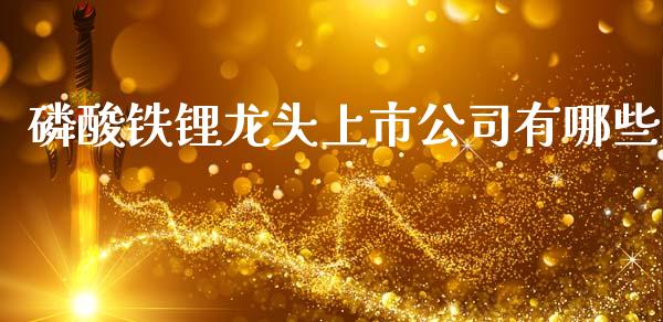 磷酸铁锂龙头上市公司有哪些_https://wap.fansifence.com_债券投资_第1张