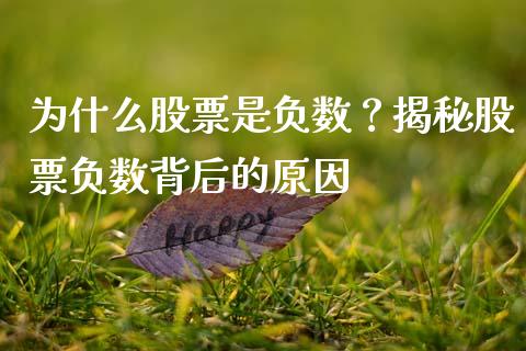 为什么股票是负数？揭秘股票负数背后的原因_https://wap.fansifence.com_投资理财_第1张