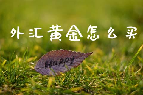 外汇黄金怎么买_https://wap.fansifence.com_债券投资_第1张