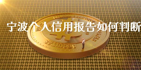 宁波个人信用报告如何判断_https://wap.fansifence.com_今日财经_第1张