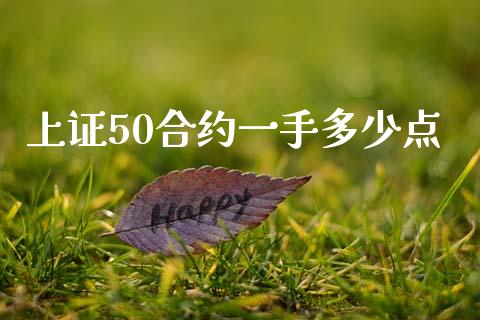 上证50合约一手多少点_https://wap.fansifence.com_外汇交易_第1张