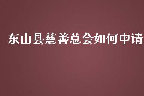 东山县慈善总会如何申请_https://wap.fansifence.com_外汇交易_第1张