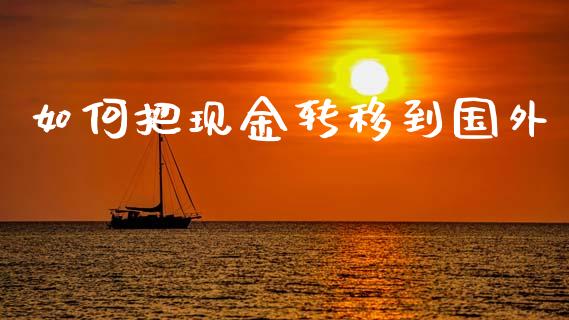 如何把现金转移到国外_https://wap.fansifence.com_债券投资_第1张