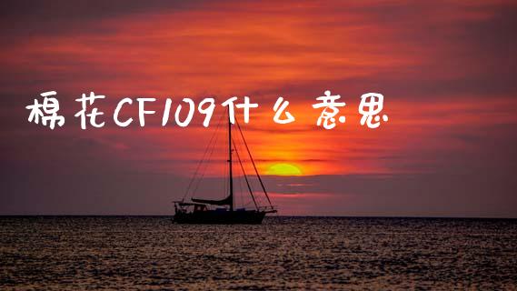 棉花CF109什么意思_https://wap.fansifence.com_外汇交易_第1张