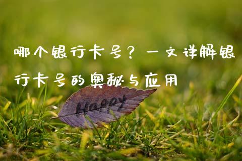 哪个银行卡号？一文详解银行卡号的奥秘与应用_https://wap.fansifence.com_今日财经_第1张
