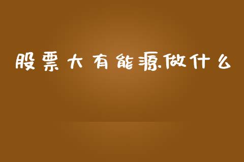 股票大有能源做什么_https://wap.fansifence.com_今日财经_第1张