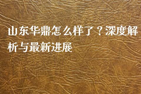 山东华鼎怎么样了？深度解析与最新进展_https://wap.fansifence.com_投资理财_第1张