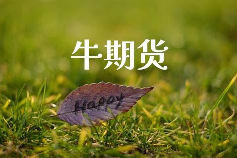 牛期货_https://wap.fansifence.com_今日财经_第1张