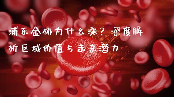 浦东金桥为什么涨？深度解析区域价值与未来潜力_https://wap.fansifence.com_外汇交易_第1张
