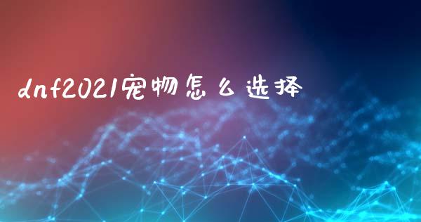 dnf2021宠物怎么选择_https://wap.fansifence.com_今日财经_第1张