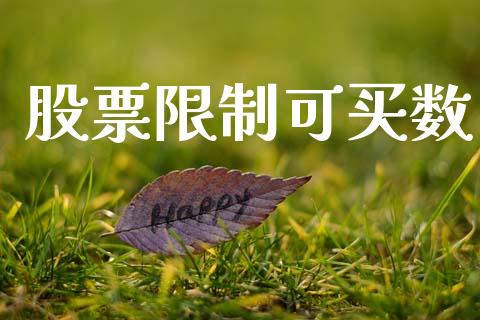 股票限制可买数_https://wap.fansifence.com_今日财经_第1张