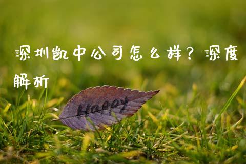 深圳凯中公司怎么样？深度解析_https://wap.fansifence.com_今日财经_第1张