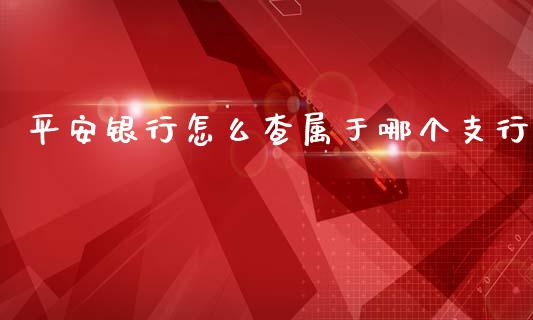 平安银行怎么查属于哪个支行_https://wap.fansifence.com_投资理财_第1张