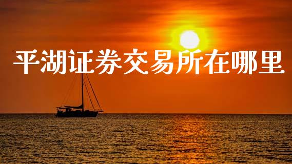 平湖证券交易所在哪里_https://wap.fansifence.com_外汇交易_第1张