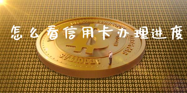 怎么看信用卡办理进度_https://wap.fansifence.com_今日财经_第1张