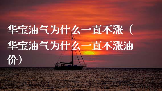 华宝油气为什么一直不涨（华宝油气为什么一直不涨油价）_https://wap.fansifence.com_债券投资_第1张