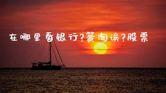 在哪里看银行?簧淘诶?股票_https://wap.fansifence.com_外汇交易_第1张