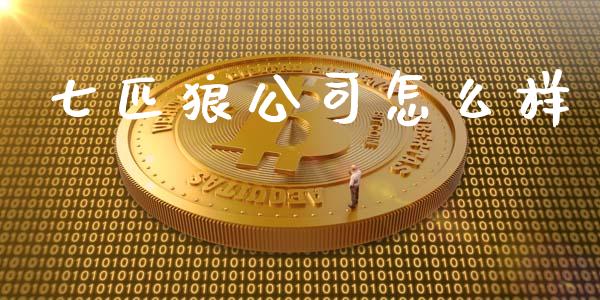 七匹狼公司怎么样_https://wap.fansifence.com_外汇交易_第1张