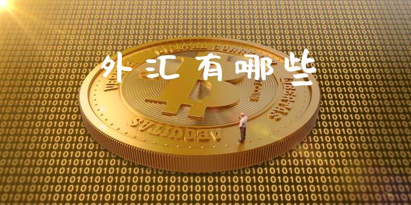 外汇有哪些_https://wap.fansifence.com_外汇交易_第1张