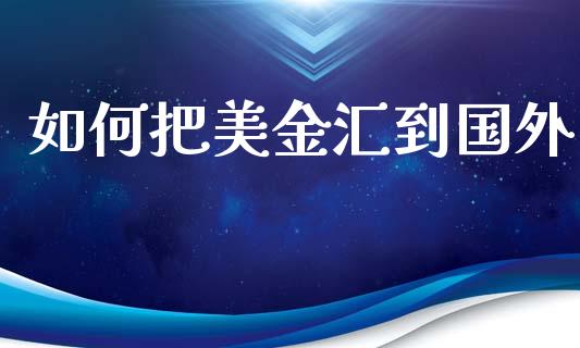如何把美金汇到国外_https://wap.fansifence.com_债券投资_第1张