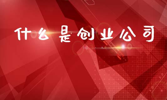 什么是创业公司_https://wap.fansifence.com_外汇交易_第1张